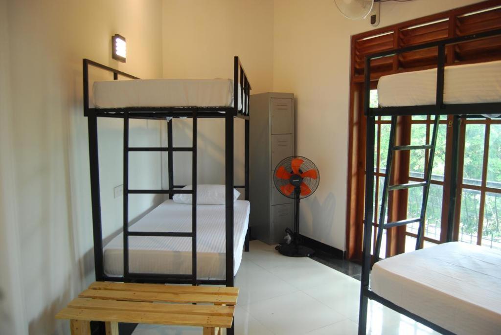 Best Hostel Yala Tissamaharama Eksteriør billede