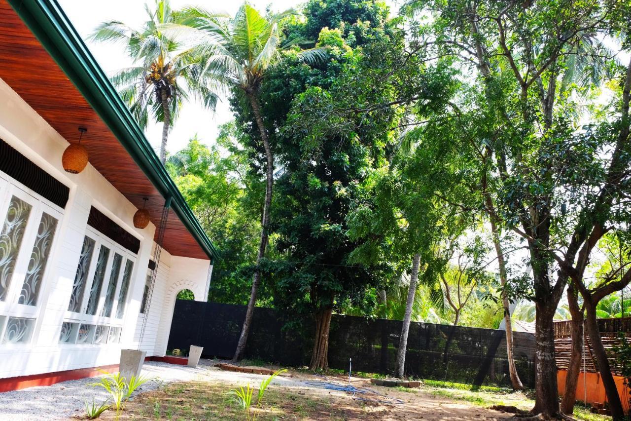 Best Hostel Yala Tissamaharama Værelse billede