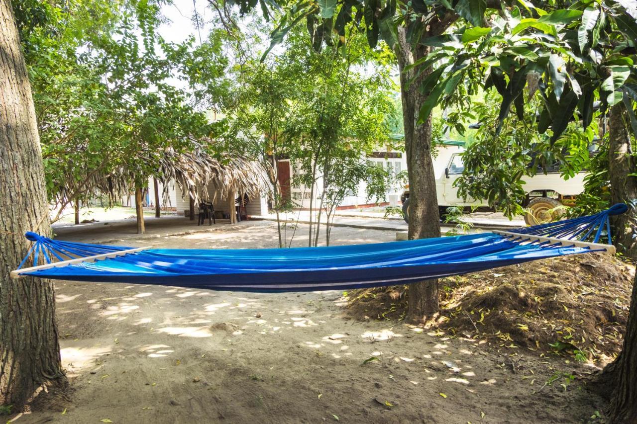 Best Hostel Yala Tissamaharama Værelse billede
